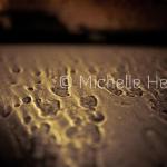 "Rain Reflected"
by Michelle Heyden
© Michelle Heyden
